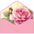 BK-00047-700x700