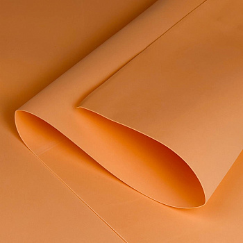 6183836197470276589 (1)