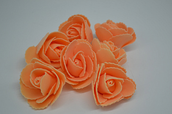 /tmp/v8_Lr0IIr_7516.DSC_0015