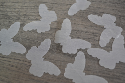 /tmp/v8_Lr0IIr_d24d.DSC_0017