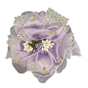 photo_6111391227443265902_y