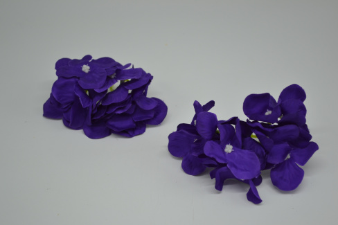 /tmp/v8_Lr0IIr_7492.DSC_0014