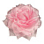Бант на резинке "Чайная роза" 20 см 1 шт розовый с жемчугом 422
