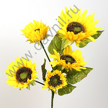 /tmp/v8_Lr0IIr_39ed.А1-87