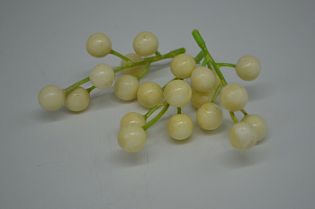 /tmp/v8_Lr0IIr_31d7.DSC_0002