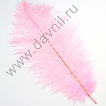 /tmp/v8_Lr0IIr_4aef.А45-2-25