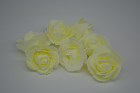 /tmp/v8_Lr0IIr_742a.DSC_0012