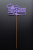 39975817