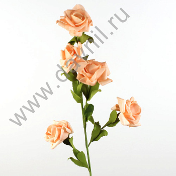 /tmp/v8_Lr0IIr_3f91.IMG_0032