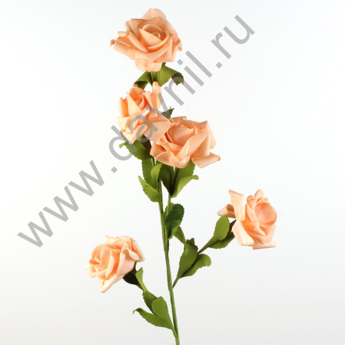 /tmp/v8_Lr0IIr_3f91.IMG_0032