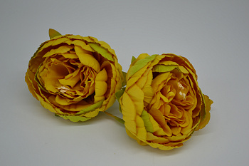 /tmp/v8_Lr0IIr_7414.DSC_0006