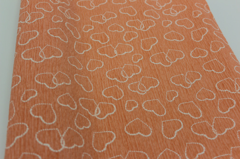 /tmp/v8_Lr0IIr_67df.IMG_1268