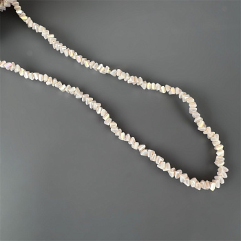 6104780001468157637 (1)