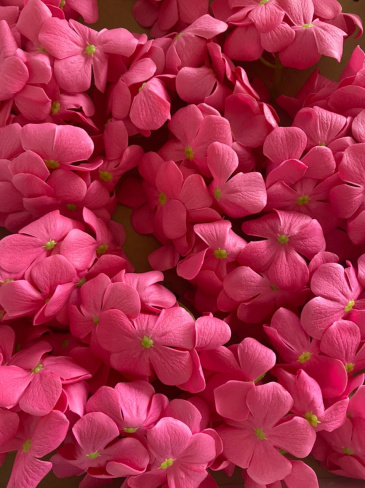 /tmp/v8_Lr0IIr_3efe.WhatsApp Image 2021-03-18 at 14.42.20