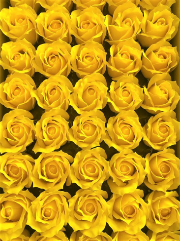 /tmp/v8_Lr0IIr_3e77.WhatsApp Image 2021-03-05 at 13.02.06