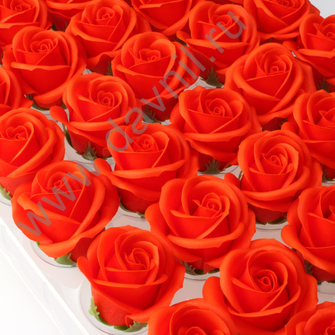 /tmp/v8_Lr0IIr_1ff0.А2-4-36