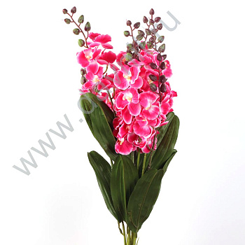 /tmp/v8_Lr0IIr_4108.А1-59