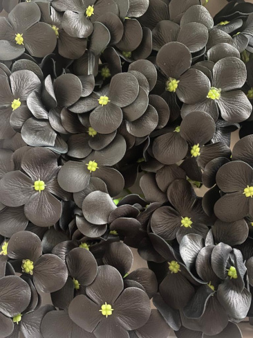 /tmp/v8_Lr0IIr_3f00.WhatsApp Image 2021-03-18 at 14.41.51