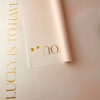 a60ee5af-34a7-43d9-9897-b4029203dcd4