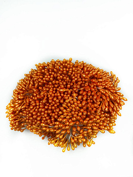 /tmp/v8_Lr0IIr_1af0.photo1697970788 (1)