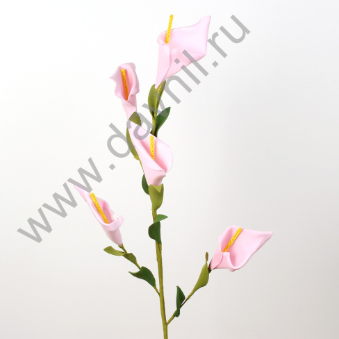 /tmp/v8_Lr0IIr_39ca.IMG_0147