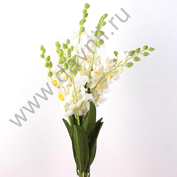 /tmp/v8_Lr0IIr_410a.20