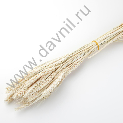 /tmp/v8_Lr0IIr_58e5.А20-15-1 белый