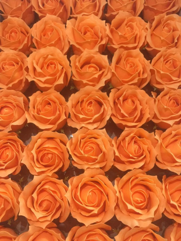 /tmp/v8_Lr0IIr_3e75.WhatsApp Image 2021-03-05 at 12.57.56