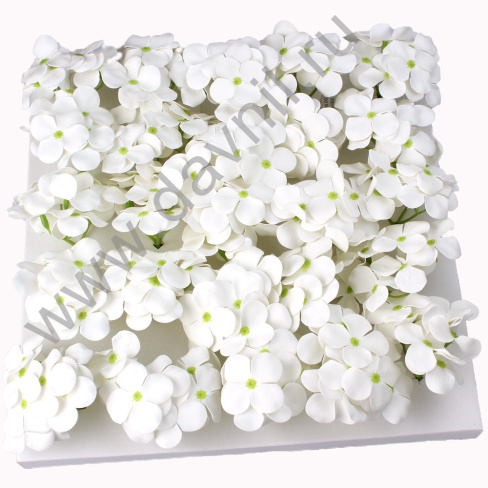 /tmp/v8_Lr0IIr_1765.А2-12-24