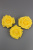 /tmp/v8_Lr0IIr_e6d5.377e0c61-3753-4ed3-a90e-bd0b2cbe7871 /tmp/v8_Lr0IIr_e6d5.377e0c61-3753-4ed3-a90e-bd0b2cbe7871