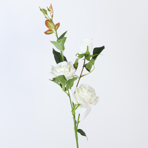 /tmp/v8_Lr0IIr_7dd4.А1-56 белый