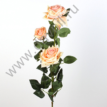 /tmp/v8_Lr0IIr_7dd0.А1-55 15 шт