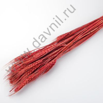 /tmp/v8_Lr0IIr_58e0.А20-15-5