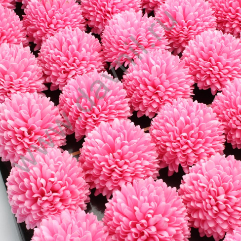 /tmp/v8_Lr0IIr_4036.А2-6-15