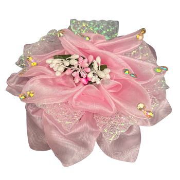 photo_6111391227443265898_y