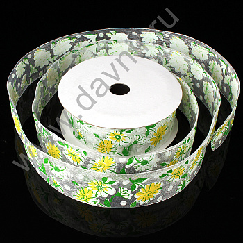 /tmp/v8_Lr0IIr_1533.К57-250 ромашка белая