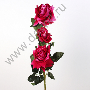 /tmp/v8_Lr0IIr_39d7.А1-55