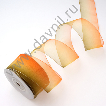 /tmp/v8_Lr0IIr_3d77.2096-8 оранжевая с зеленым