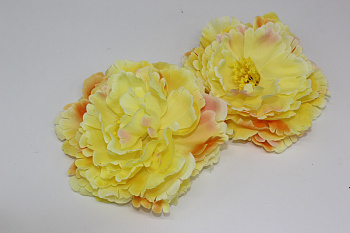 /tmp/v8_Lr0IIr_74be.IMG_3380