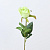 Куст розы 64 см 1 шт салатовый