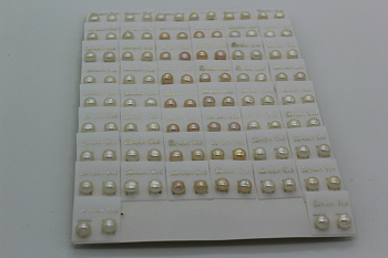 /tmp/v8_Lr0IIr_a321.IMG_1403