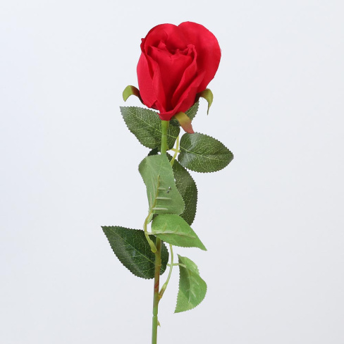 /tmp/v8_Lr0IIr_83b6.А1-54 красный