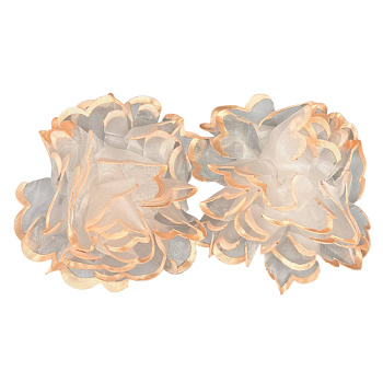 photo_6113975230092397308_y