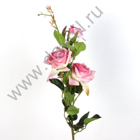 /tmp/v8_Lr0IIr_37b8.А1-48 бледно-розовый