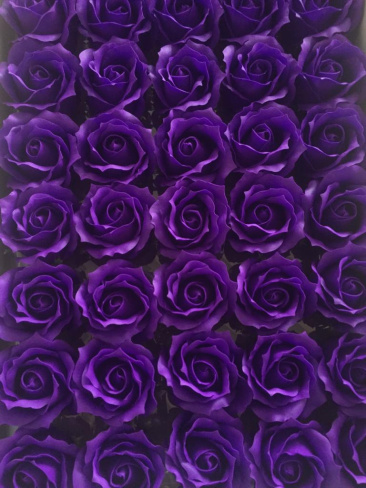 /tmp/v8_Lr0IIr_3e71.WhatsApp Image 2021-03-05 at 12.48.16