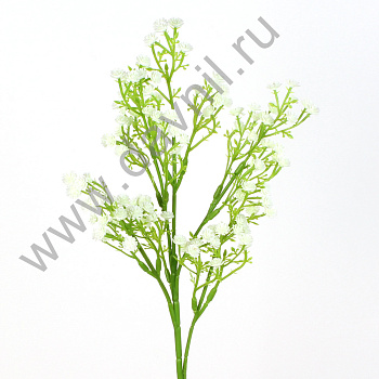 /tmp/v8_Lr0IIr_39c7.А1-80