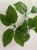 /tmp/v8_Lr0IIr_3e60.WhatsApp Image 2021-03-06 at 08.21.52 (1)