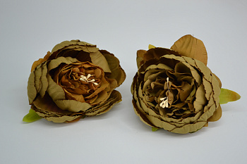 /tmp/v8_Lr0IIr_73ec.DSC_0016