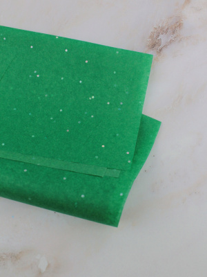 /tmp/v8_Lr0IIr_e17a.photo1703148302 (7)