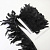 Перо петуха на ленте 15 см 5 метров чёрное